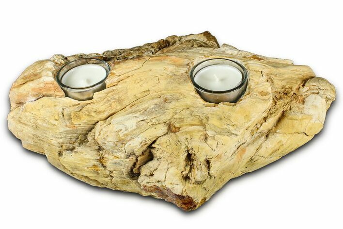 Fascinating, Petrified Wood Candle Holder - Madagascar #378663